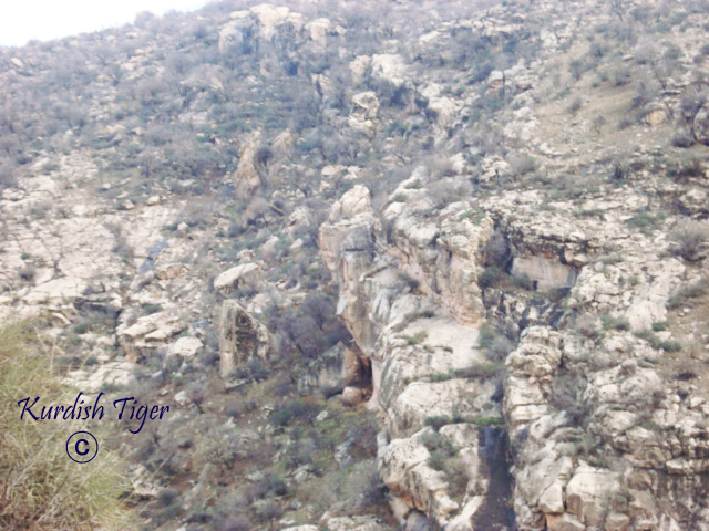 41861kobani.jpg