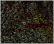 41913kobani.gif