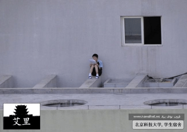 4369alsh3er.gif