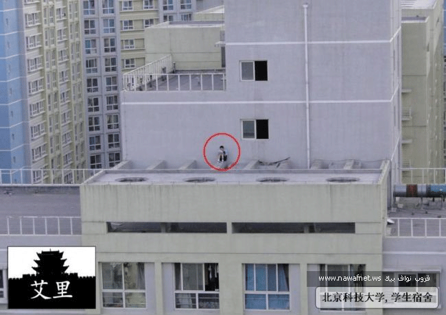 4372alsh3er.gif