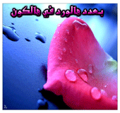 44609kobani.gif
