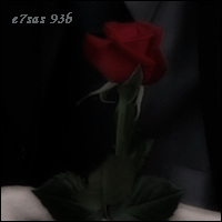 45305kobani.gif
