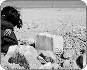 46263kobani.gif