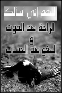 46632kobani.gif