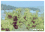 46930kobani.gif