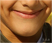 47221kobani.gif