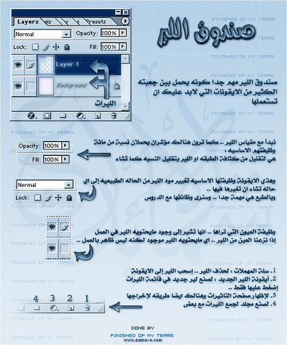 4779alsh3er.jpg