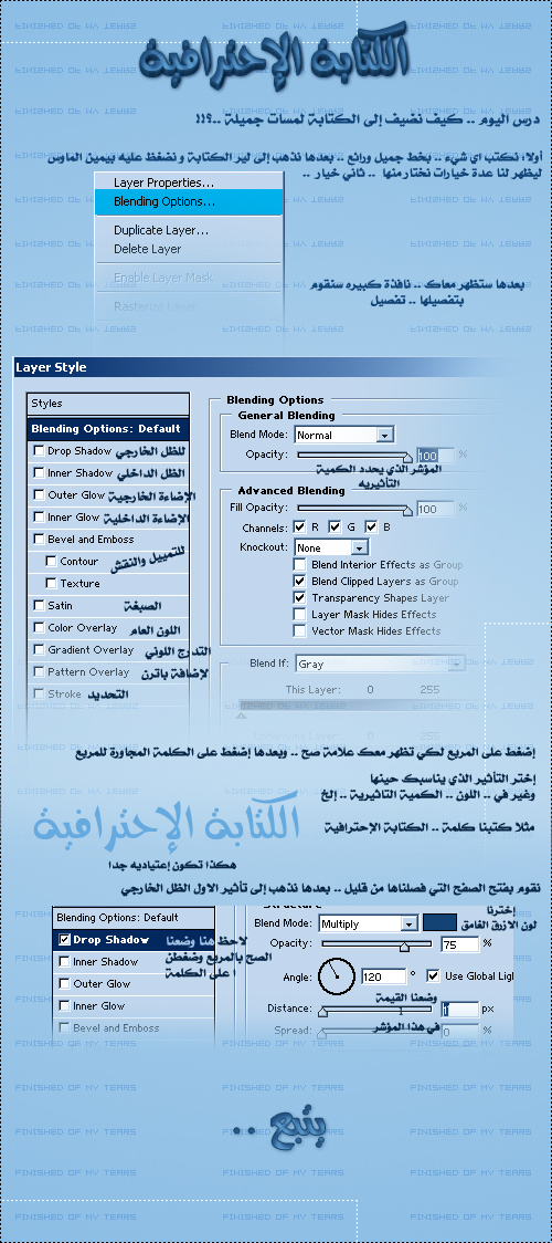 4784alsh3er.jpg