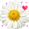 48163kobani.gif