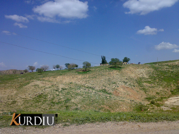 48447kobani.jpg