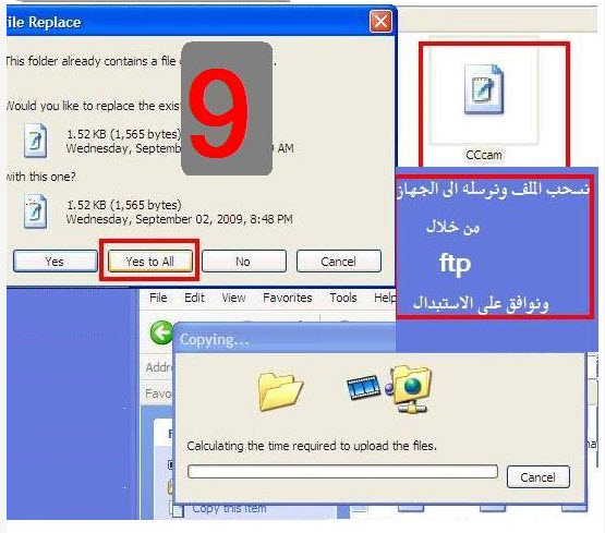 5364alsh3er.jpg