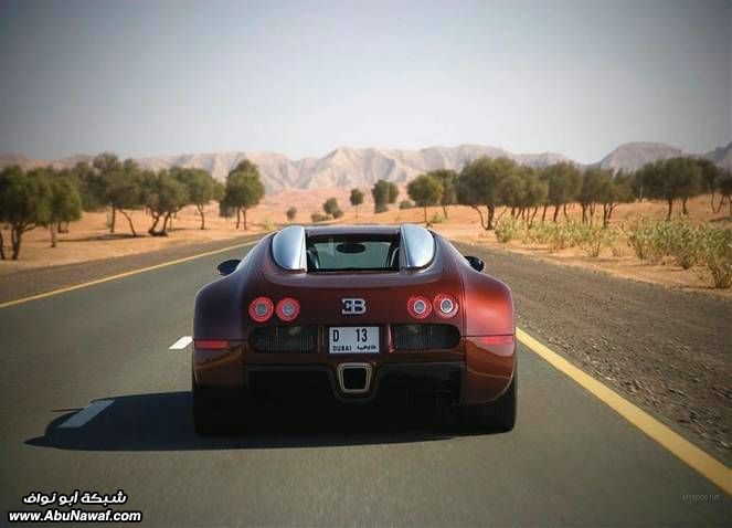 5768alsh3er.gif