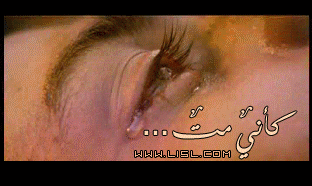 588alsh3er.gif