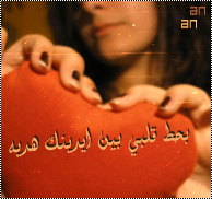 599alsh3er.png