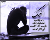6013alsh3er.gif
