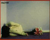 6017alsh3er.gif
