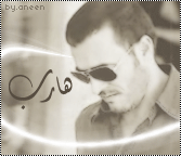 6033alsh3er.gif