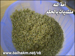 6107alsh3er.jpg