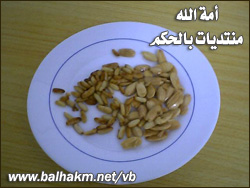 6108alsh3er.jpg