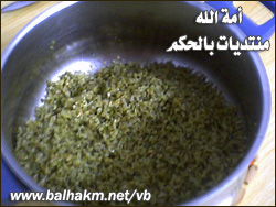 6109alsh3er.jpg