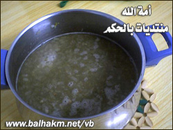 6110alsh3er.jpg