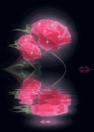 6315alsh3er.gif