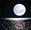6347alsh3er.gif
