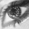 6351alsh3er.gif