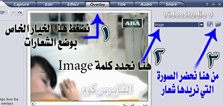 6504alsh3er.jpg