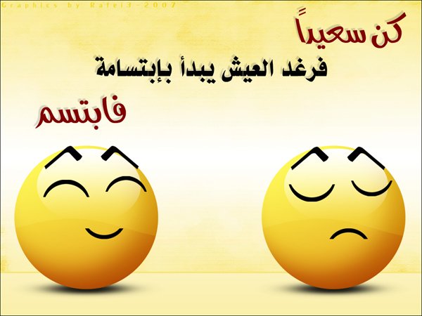 6527alsh3er.jpg