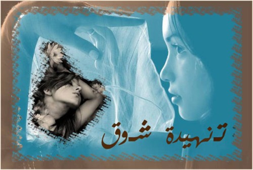 7619alsh3er.jpg