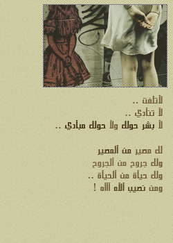 7811alsh3er.gif