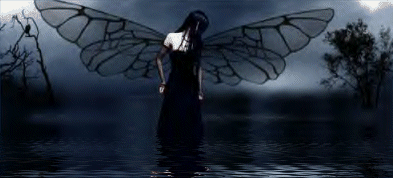 7945alsh3er.gif