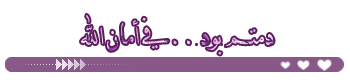 8189alsh3er.gif