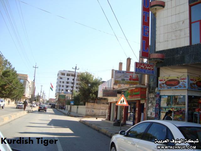 8197alsh3er.jpg