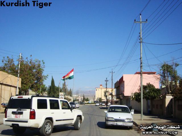 8198alsh3er.jpg