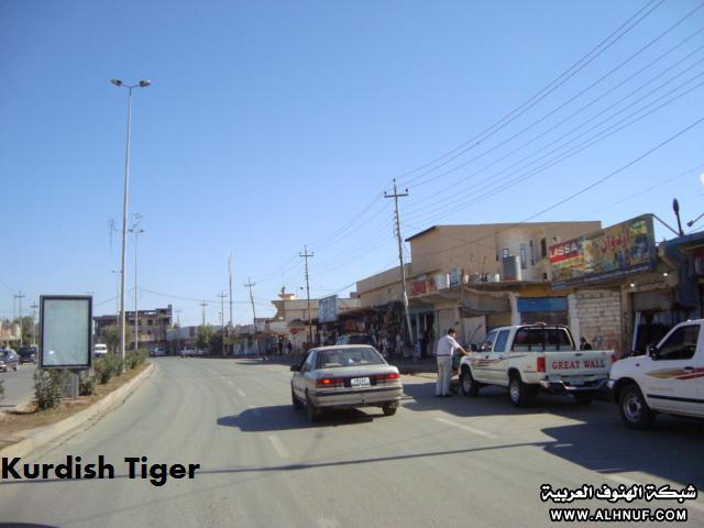 8199alsh3er.jpg