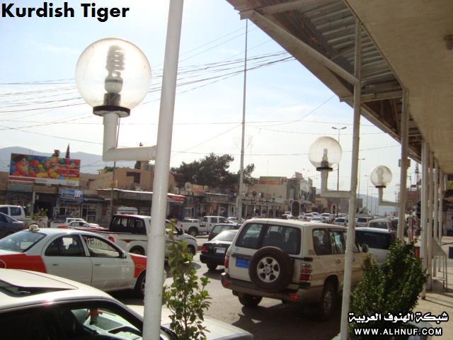 8201alsh3er.jpg
