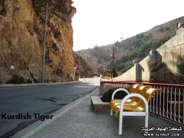 8204alsh3er.jpg
