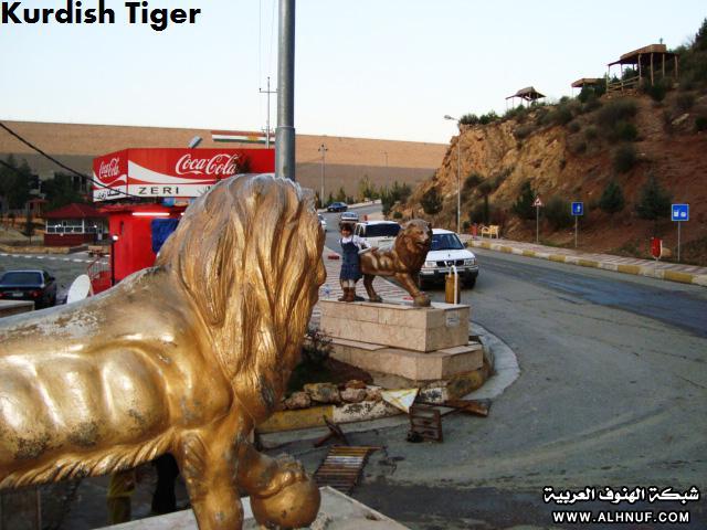 8205alsh3er.jpg
