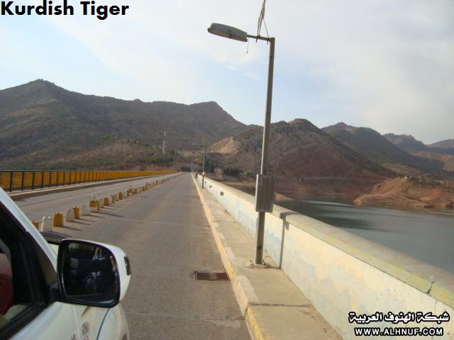 8207alsh3er.jpg