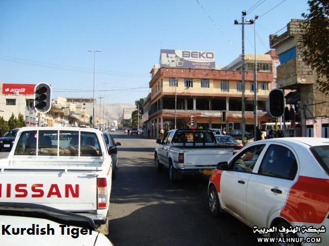 8213alsh3er.jpg