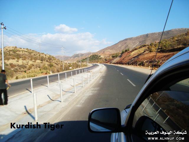 8214alsh3er.jpg