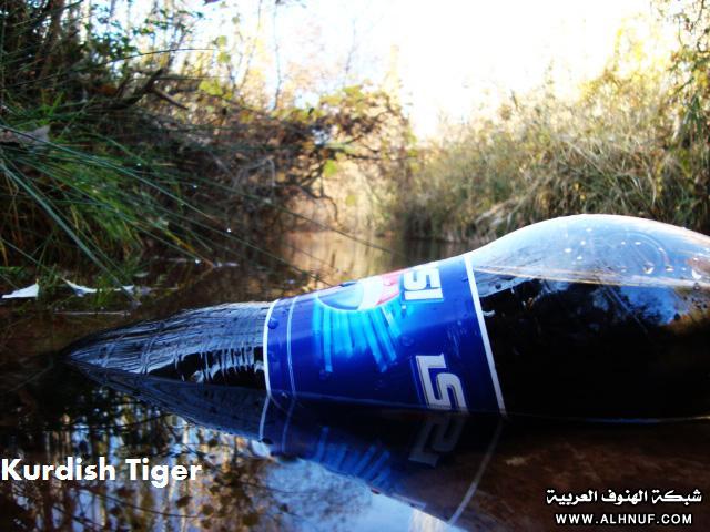 8222alsh3er.jpg