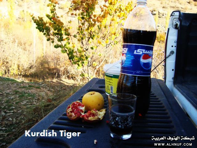 8223alsh3er.jpg