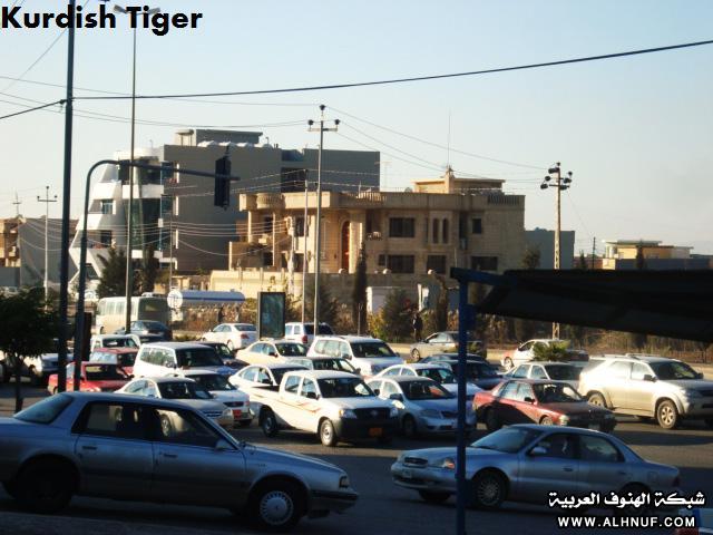 8226alsh3er.jpg