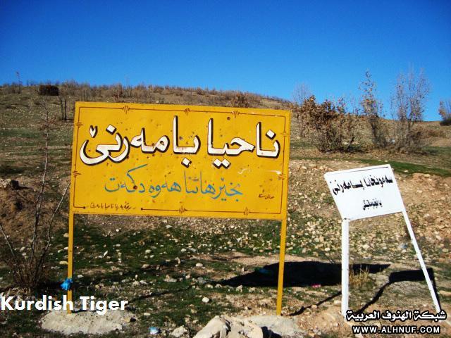 8227alsh3er.jpg