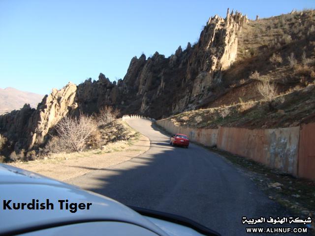 8229alsh3er.jpg