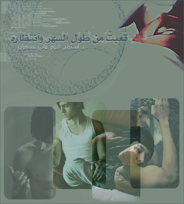 8331alsh3er.gif