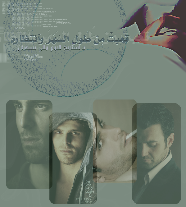 8332alsh3er.gif